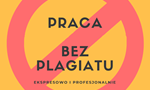 Ogłoszenie - Zawodowe Pisanie i Redagowanie Prac - Bez Plagiatu - Poznań