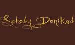 Logo Schody Donikąd
