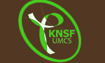 Logo Koło Naukowe Studentów Fizyki Instytut Fizyki UMCS 