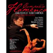 Juan Polvillo - Alma Flamenco
