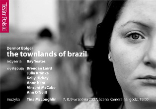 The Townlands of Brazi