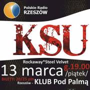Werbel 2014 Koncert Finałowy (KSU, Steel Velvet, Rockaway)