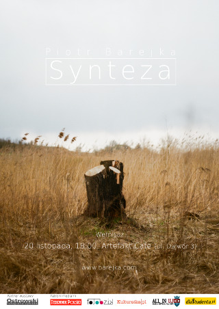 Synteza - wystawa fotografii Piotra Barejki