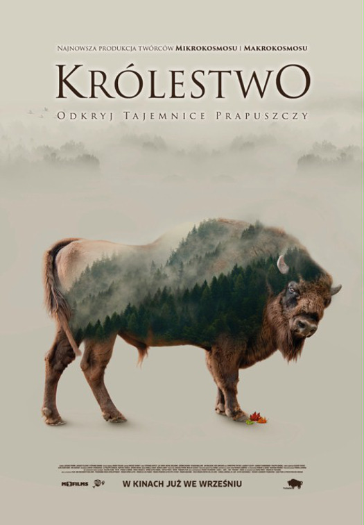 "Królestwo" - pierwszy pokaz filmu o Puszczy Białowieskiej