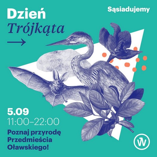 Dzień Trójkąta we Wrocławiu