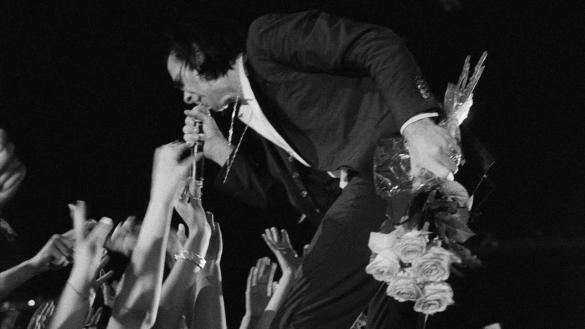  Nick Cave And The Bad Seeds