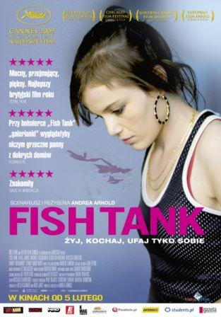 "Fish Tank" - DKF Żyrafa
