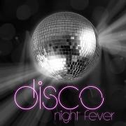 Disco Night Fever - projekt muzyczny Funky Beegos