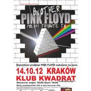 Another Pink Floyd - Polski Tribute 