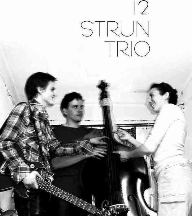 Jazz evening - 12 strun trio