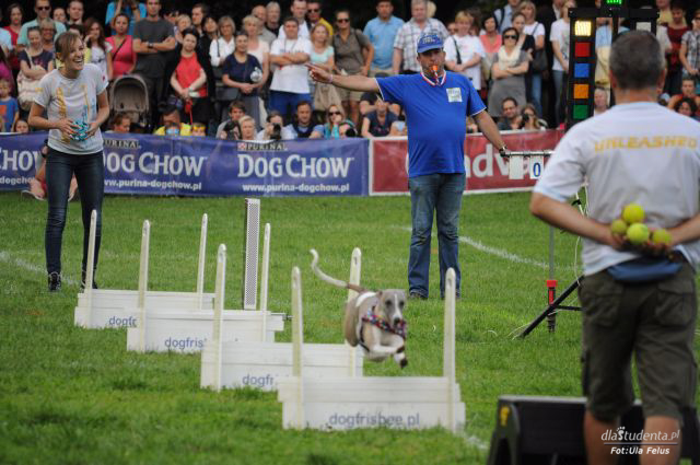 FINAŁ: Dog Chow Disc Cup 2014 - zdjęcie nr 2