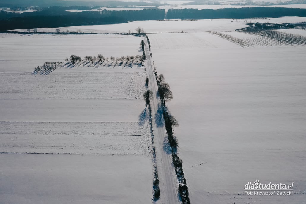 Zima w Polsce 2021 - zdjęcie nr 6