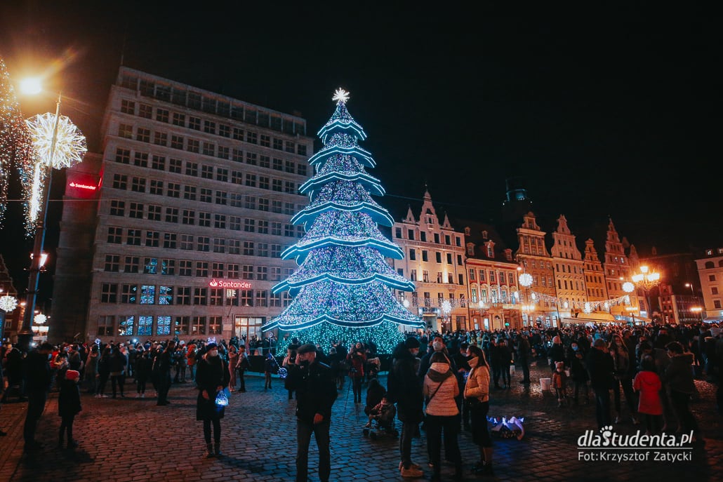 Iluminacje świąteczne we Wrocławiu - zdjęcie nr 11
