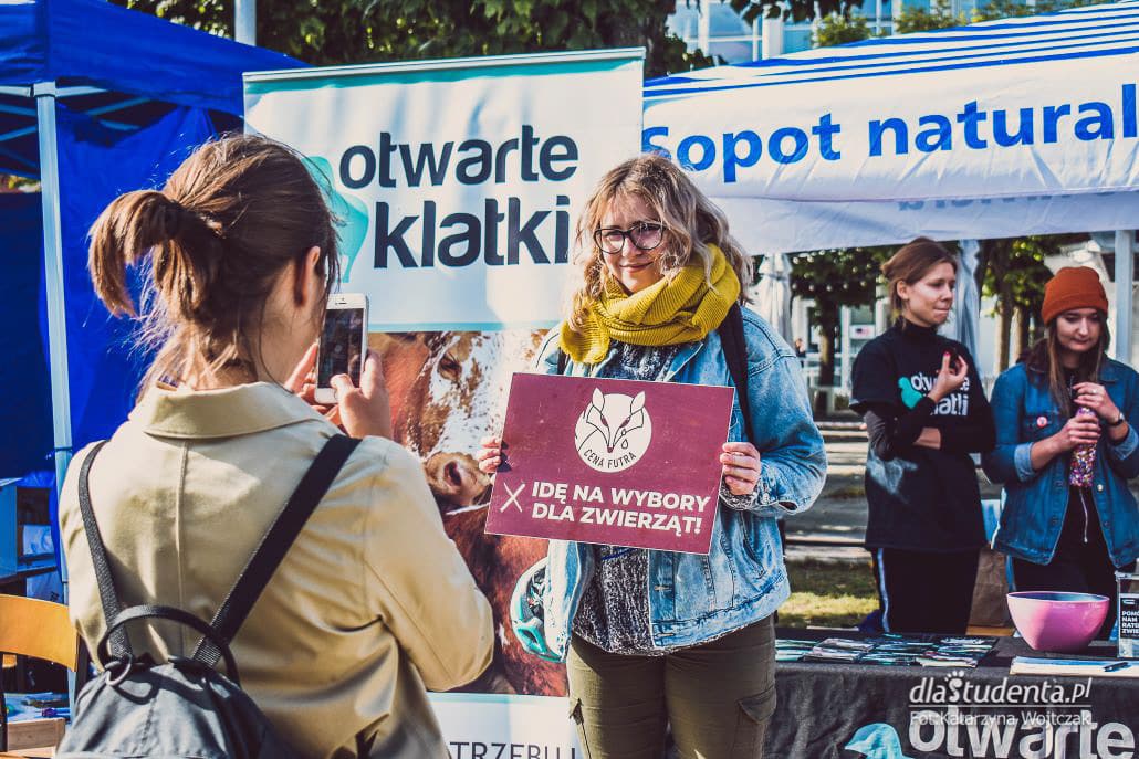 XVII Sopocki Festiwal Organizacji Pozarządowych - zdjęcie nr 11
