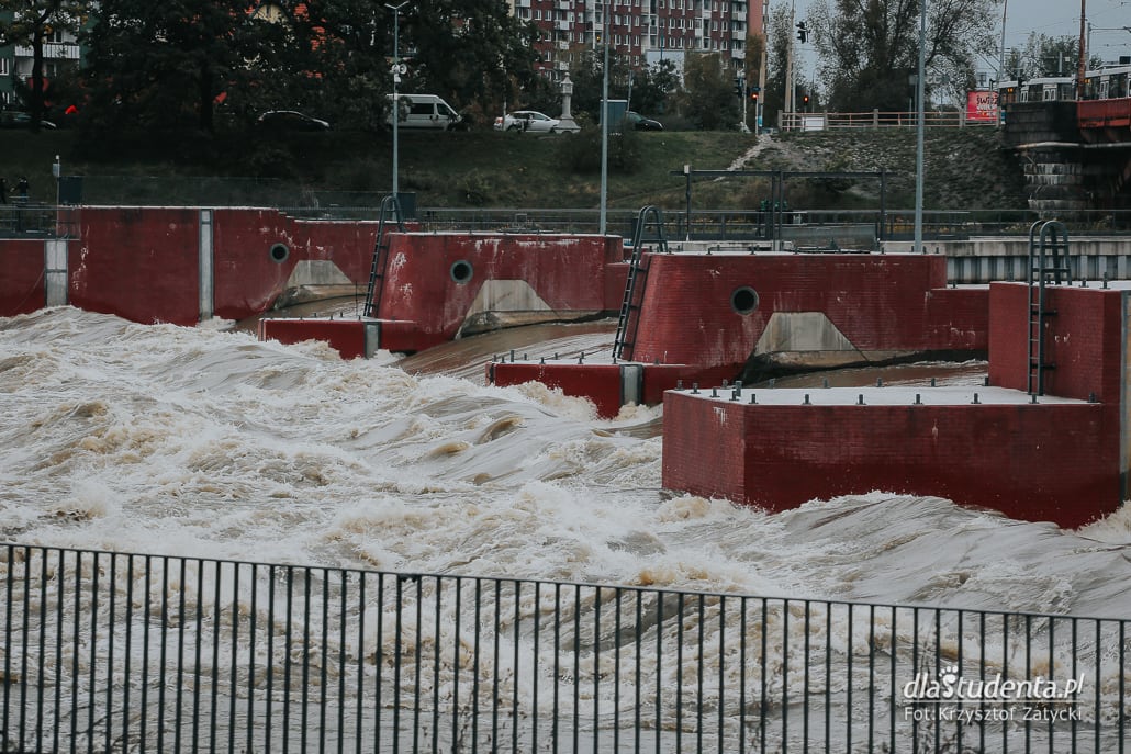 Fala powodziowa we Wrocławiu - zdjęcie nr 5