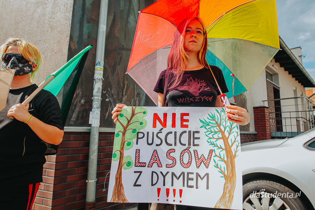 "Puszcza Zostaje" - Wrocław solidarnie z osobami broniącymi natury - zdjęcie nr 7