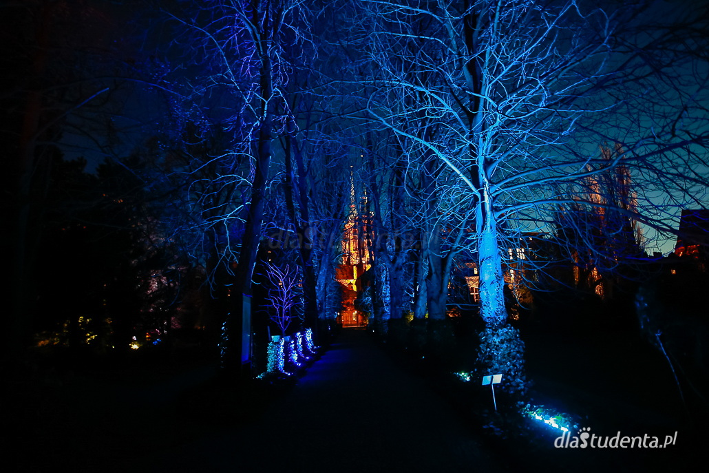 Światłogród - iluminacje w Ogrodzie Botanicznym  - zdjęcie nr 6