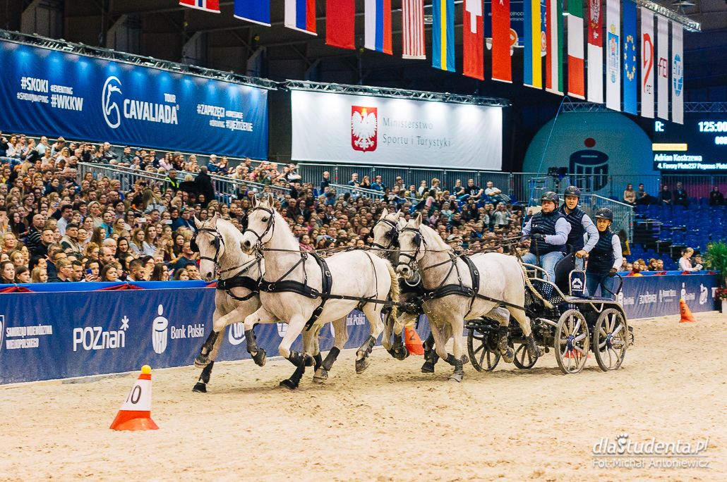  Międzynarodowe Zawody Jeździeckie: Cavaliada 2018 - zdjęcie nr 6