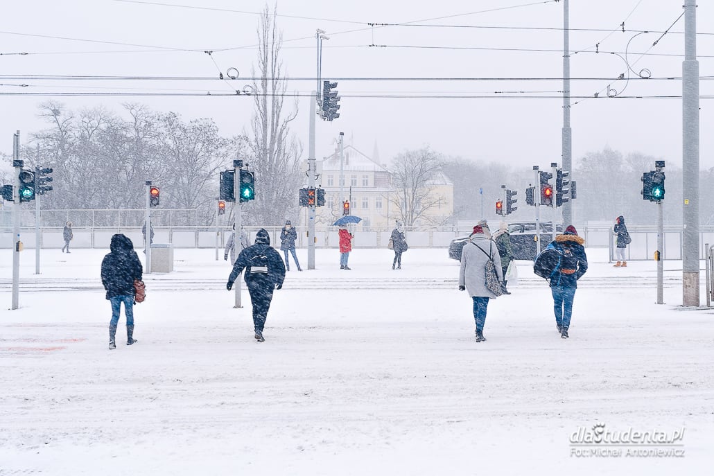 Śnieżyca w Poznaniu 