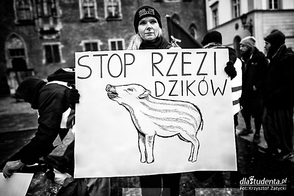 Stop rzezi dzików - protest we Wrocławiu - zdjęcie nr 10