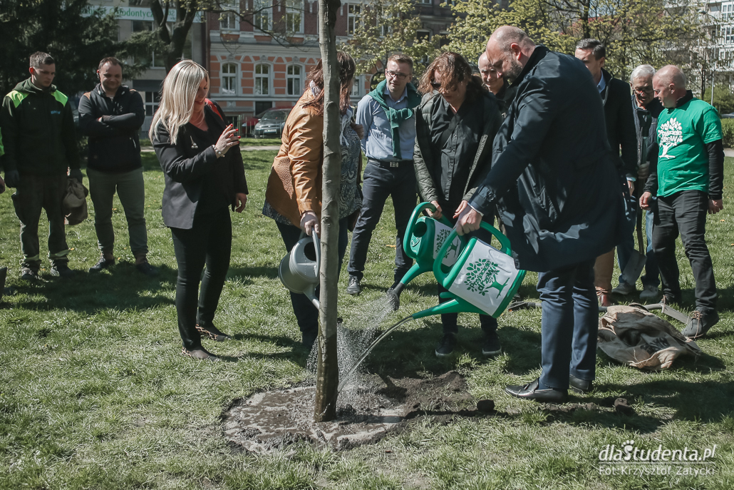 Zasadzenie drzewa dla Pawła Adamowicza we Wrocławiu