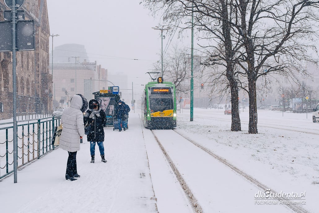 Śnieżyca w Poznaniu  - zdjęcie nr 6
