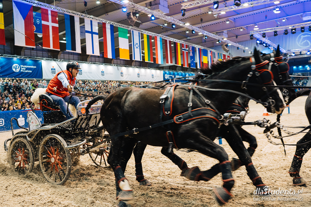  Międzynarodowe Zawody Jeździeckie: Cavaliada 2018 - zdjęcie nr 10