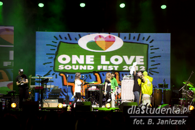 One Love Sound Fest 2012 - zdjęcie nr 9