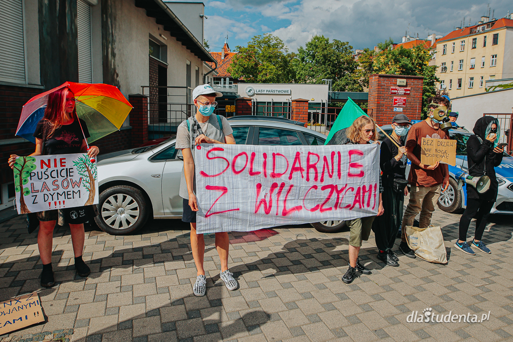 "Puszcza Zostaje" - Wrocław solidarnie z osobami broniącymi natury - zdjęcie nr 2