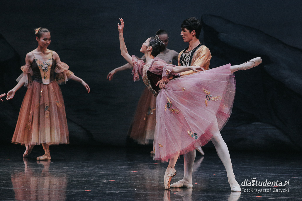 Moscow City Ballet: Jezioro Łabędzie  - zdjęcie nr 9