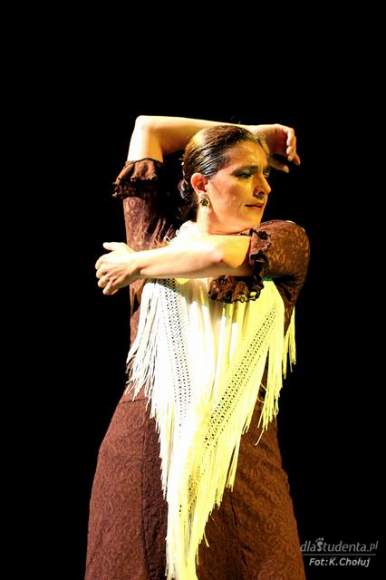 Arystokracja Flamenco - Angeles Gabaldon - zdjęcie nr 11