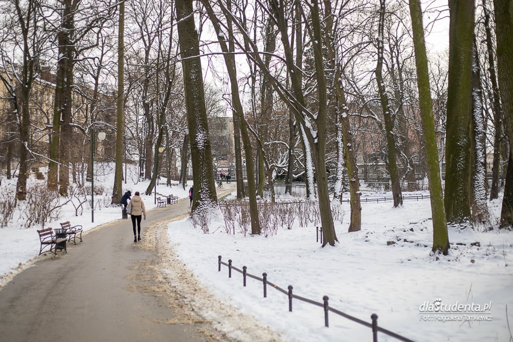 Zima w Lublinie 2021 - zdjęcie nr 7
