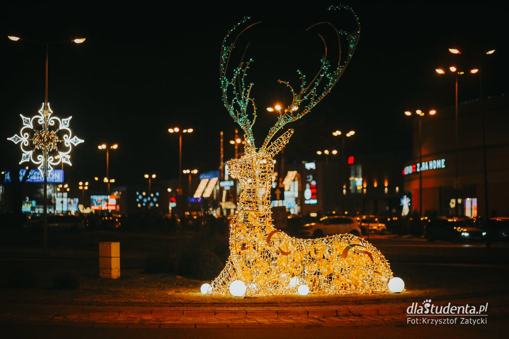 Iluminacje świąteczne we Wrocławiu - zdjęcie nr 6