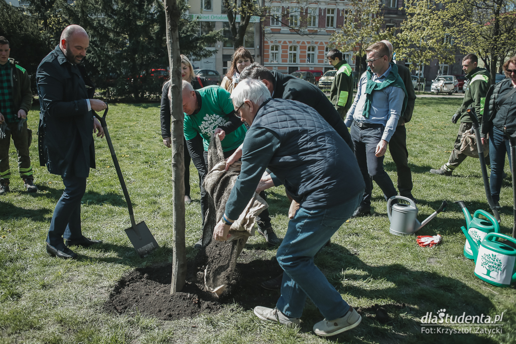 Zasadzenie drzewa dla Pawła Adamowicza we Wrocławiu - zdjęcie nr 7