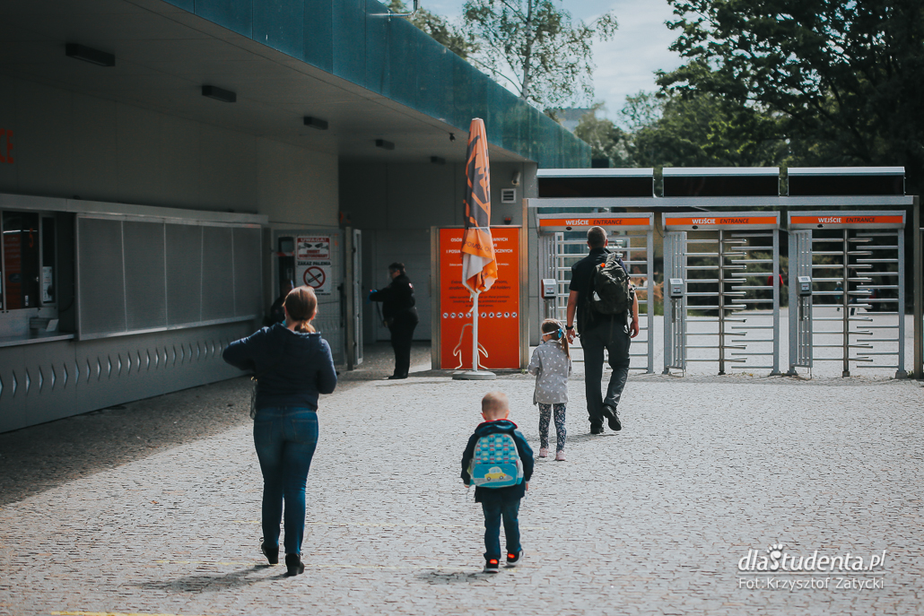 Koronawirus: Zoo we Wrocławiu otwarte po kwarantannie  - zdjęcie nr 8