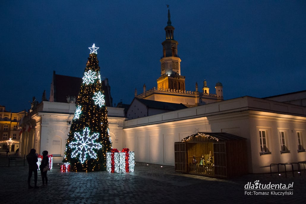 Iluminacje świąteczne w Poznaniu - zdjęcie nr 5