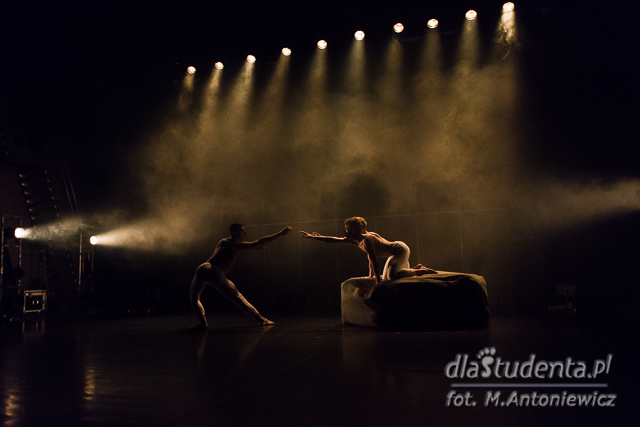 Dancing Poznań 2015 - Polski Teatr Tańca - zdjęcie nr 2