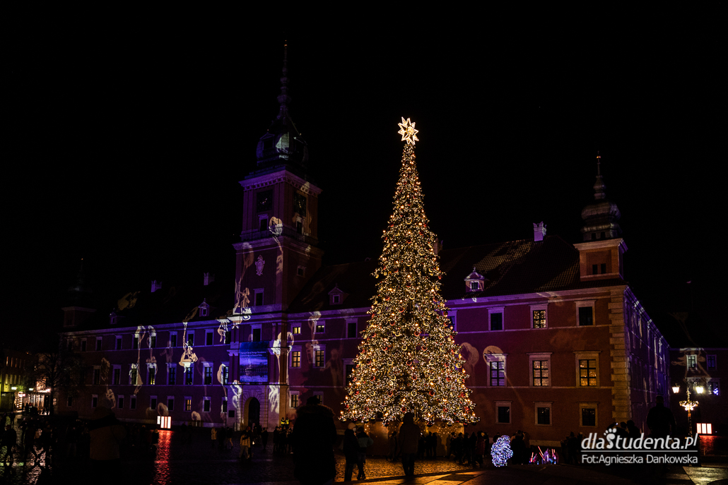 Iluminacje świąteczne w Warszawie  - zdjęcie nr 9