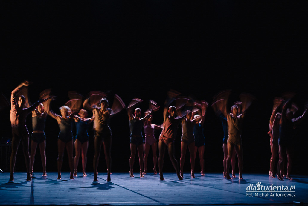 Malta Festival 2019: Jacek Przybyłowicz/Polski Teatr Tańca - zdjęcie nr 7