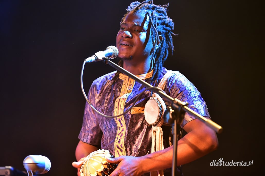 Ethno Jazz Festival: Bassekou Kouyate & Ngoni Ba - zdjęcie nr 4