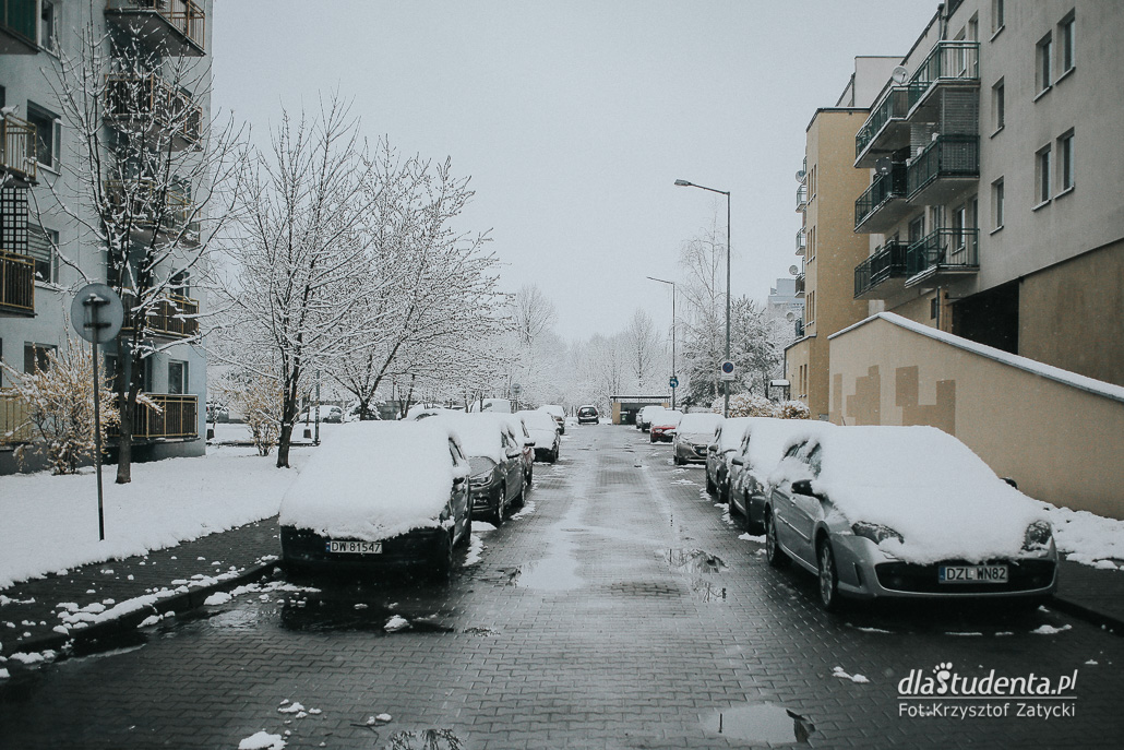 Zima zawitała do objętego kwarantanną Wrocławia - zdjęcie nr 7