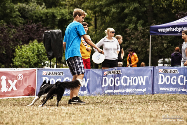 Dog Chow Disc Cup 2014 - zdjęcie nr 1