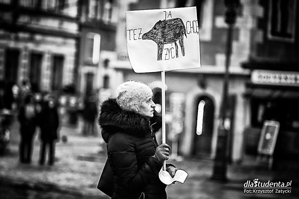 Stop rzezi dzików - protest we Wrocławiu - zdjęcie nr 3