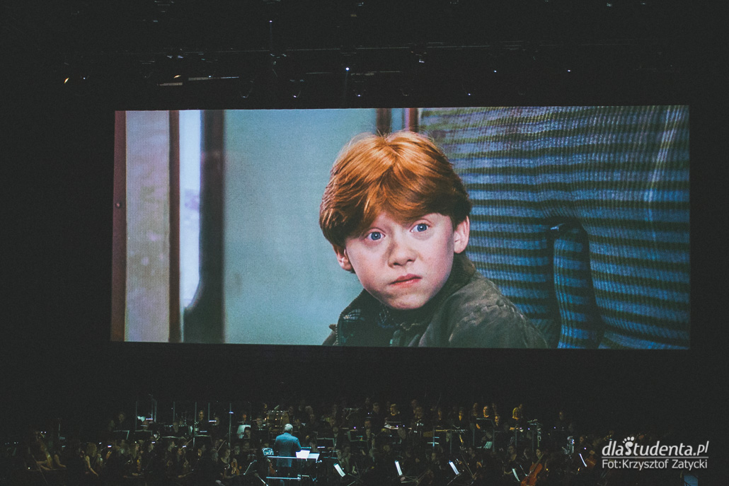 Harry Potter i Kamień Filozoficzny In Concert - zdjęcie nr 4