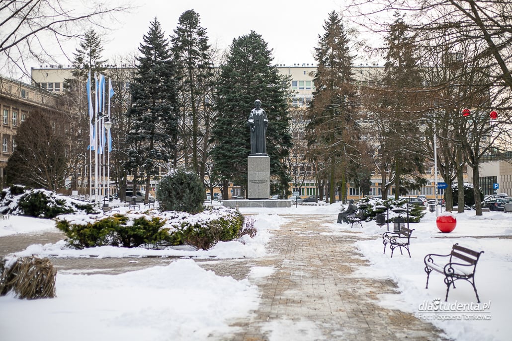 Zima w Lublinie 2021 - zdjęcie nr 8