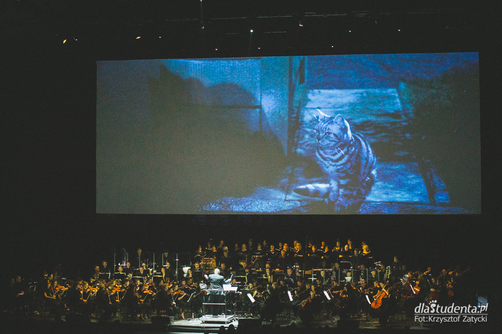 Harry Potter i Kamień Filozoficzny In Concert - zdjęcie nr 3