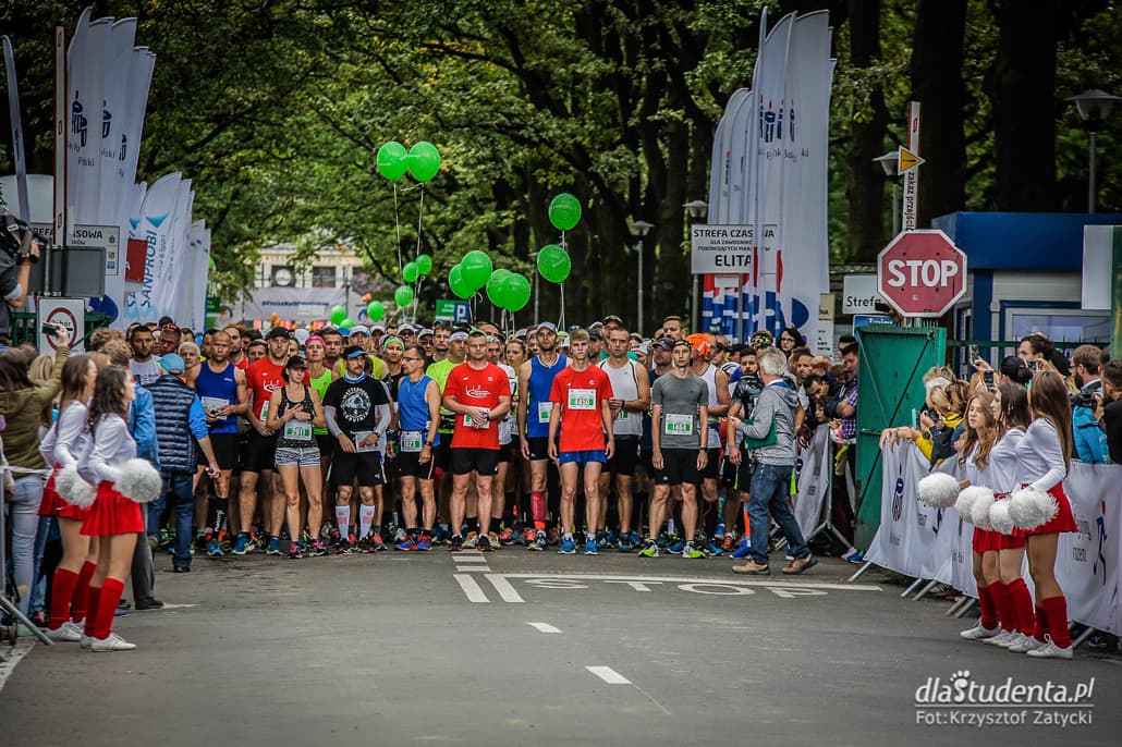 35. PKO Wrocław Maraton - zdjęcie nr 1