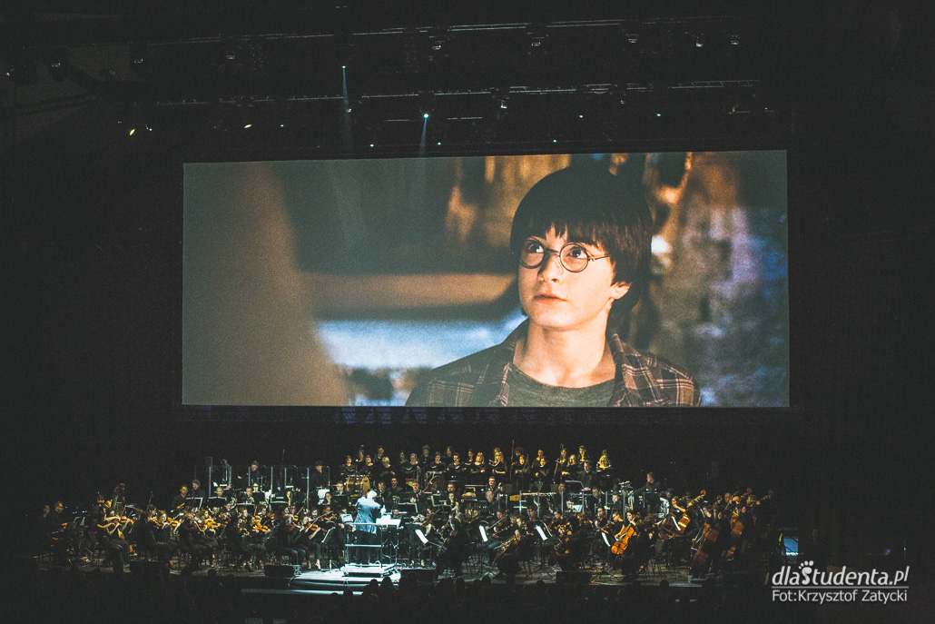 Harry Potter i Kamień Filozoficzny In Concert - zdjęcie nr 20