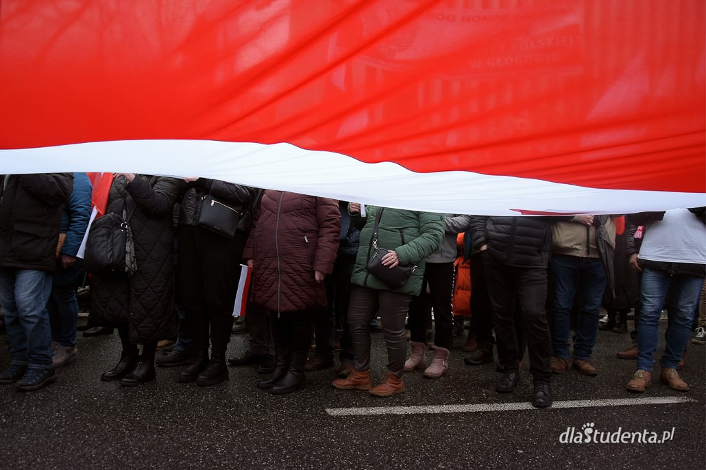 Protest Wolnych Polaków w Warszawie - zdjęcie nr 7