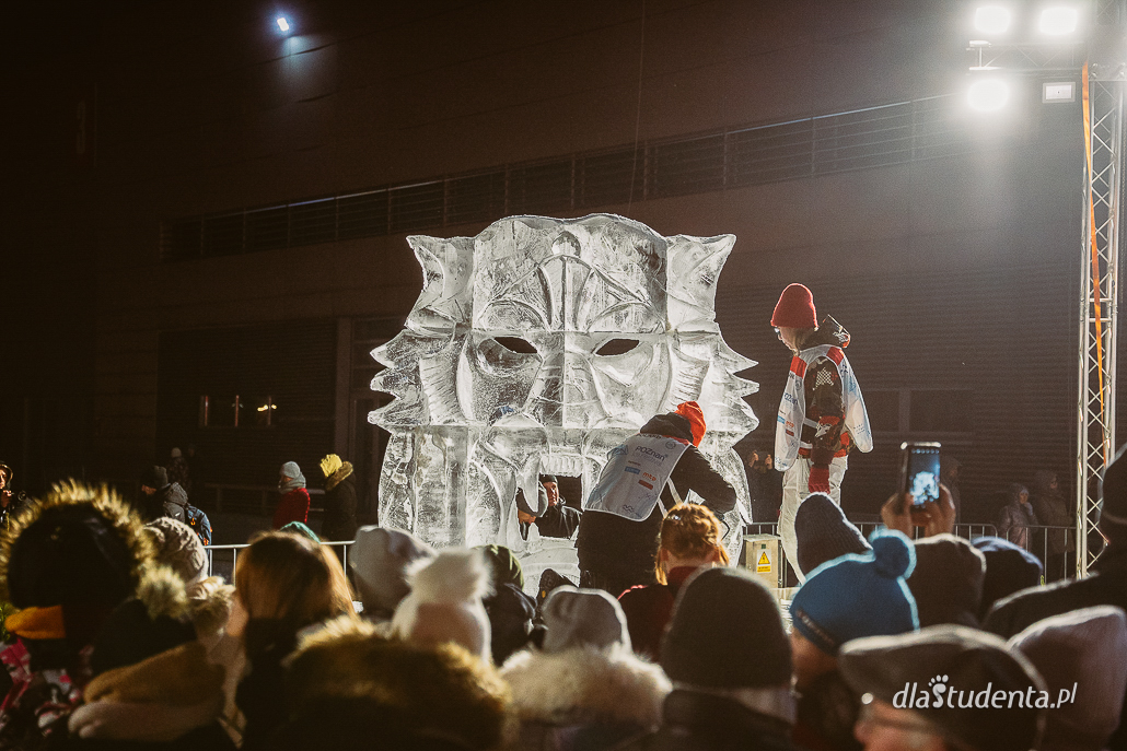 Międzynarodowy Festiwal Rzeźby Lodowej w Poznaniu 2022 - zdjęcie nr 6